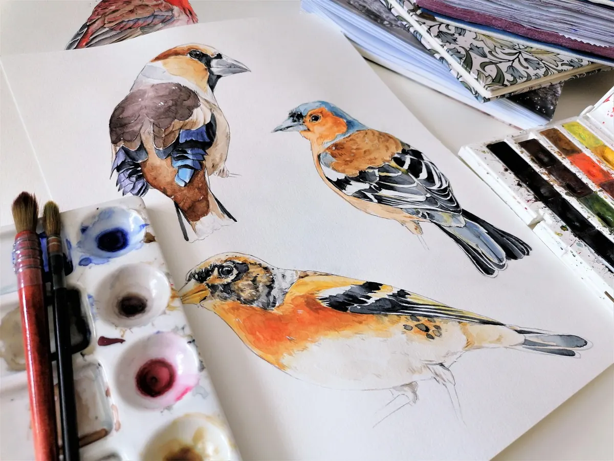 Common Mistakes When Painting Birds of Prey